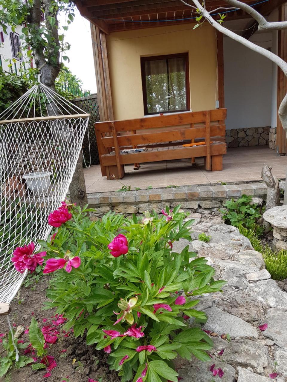 Casa Nikita Hotel Vama Veche Exterior foto