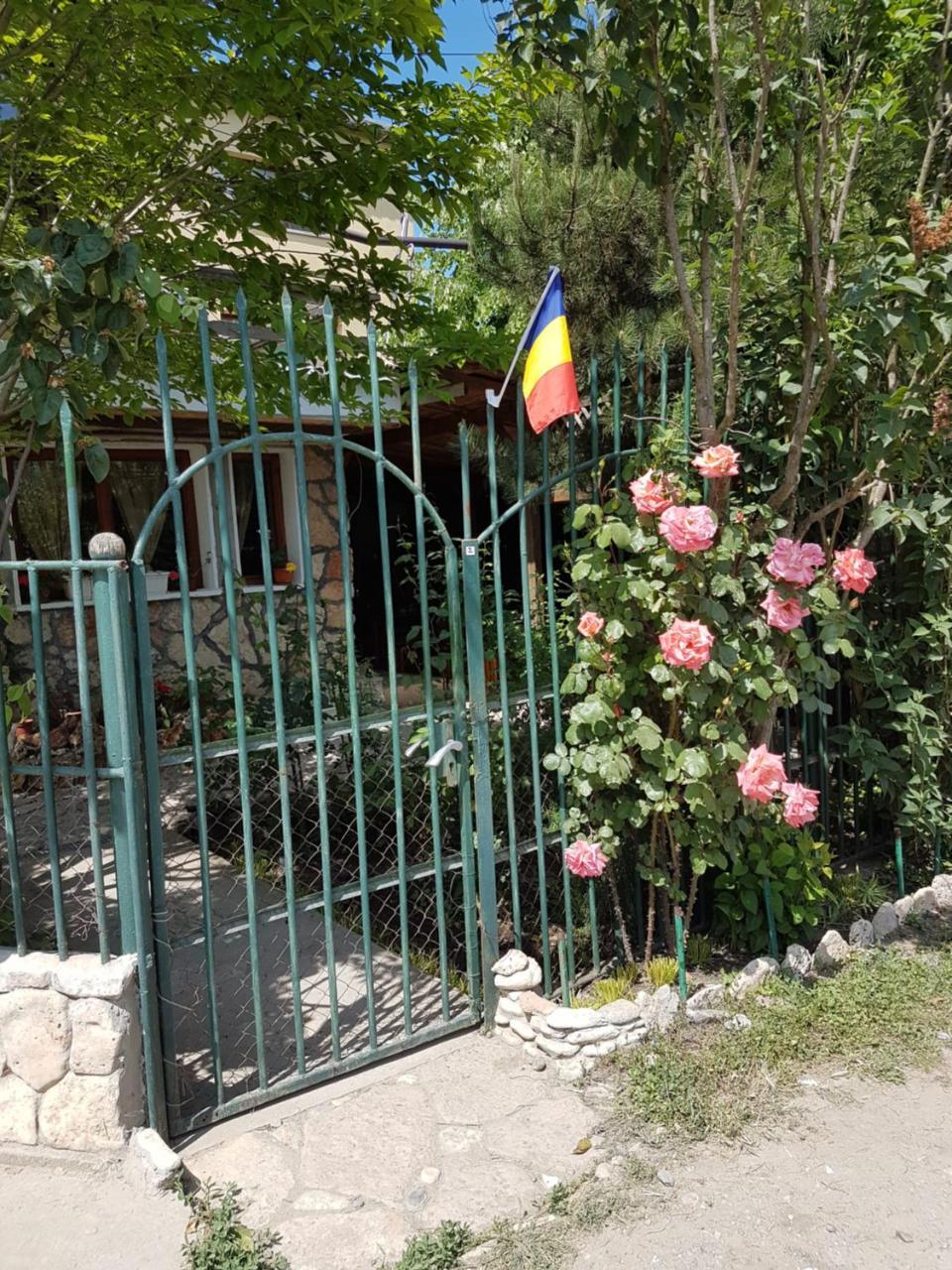 Casa Nikita Hotel Vama Veche Exterior foto