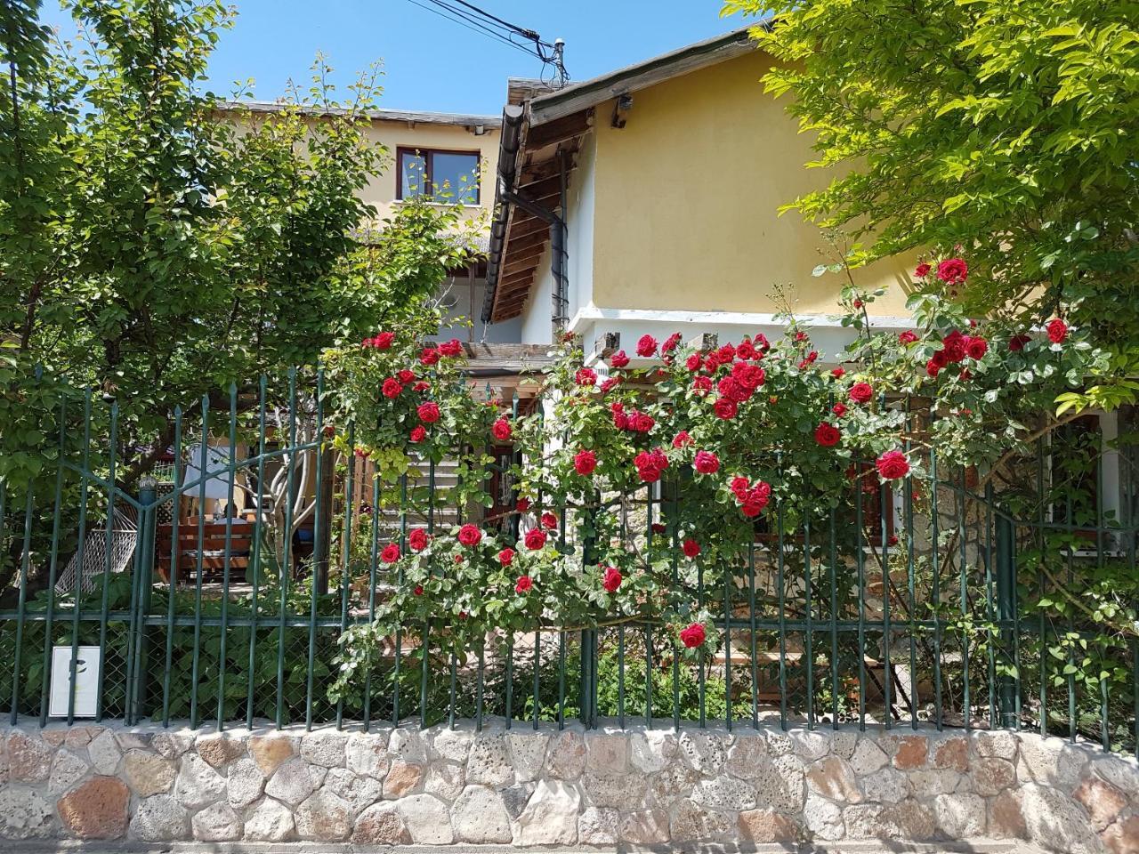 Casa Nikita Hotel Vama Veche Exterior foto